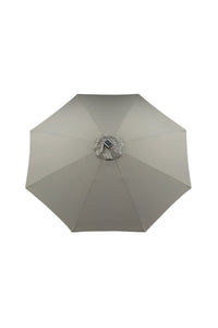 Sabal Parasol 