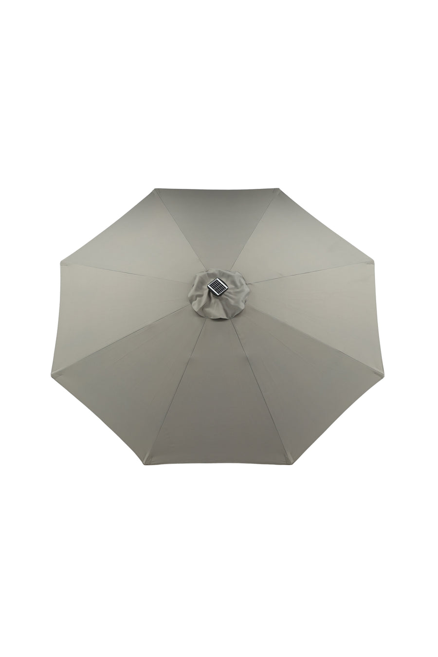 Sabal Parasol 