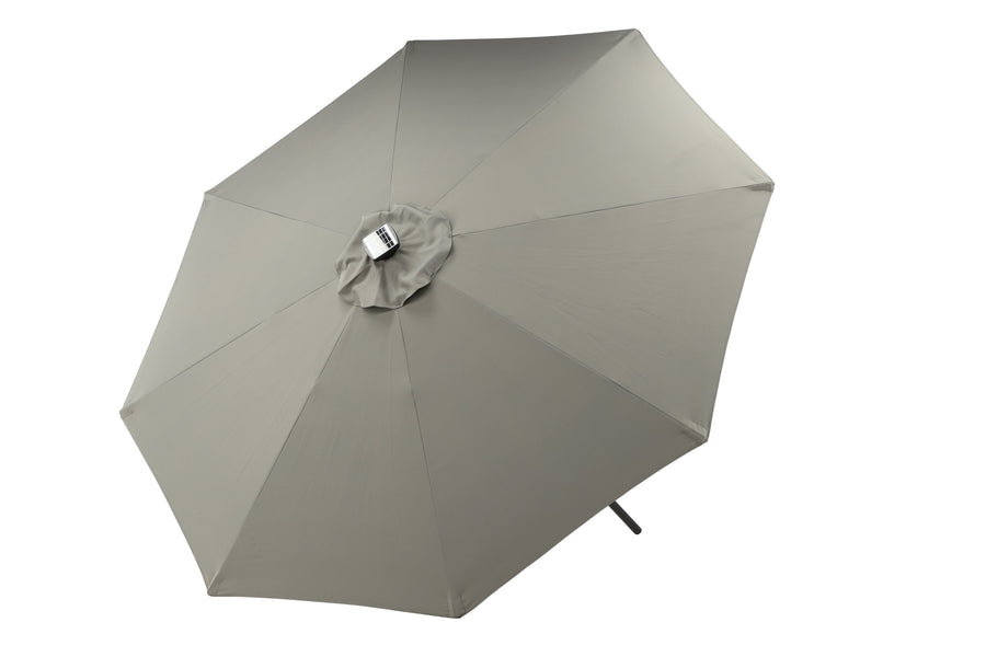 Sabal Parasol 