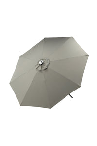 Sabal Parasol 