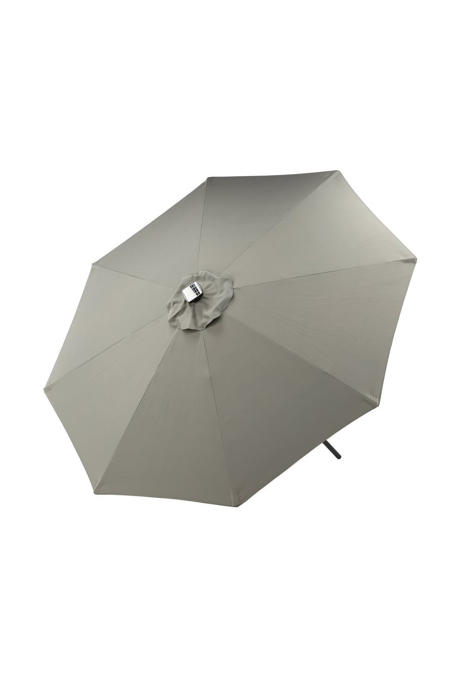 Sabal Parasol 