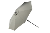 Sabal Parasol 