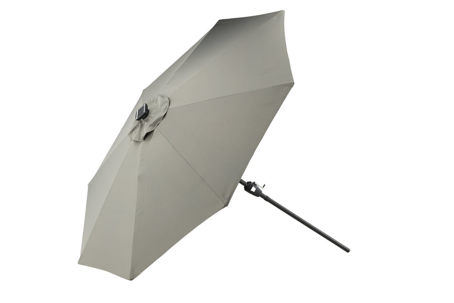 Sabal Parasol 