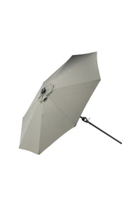 Sabal Parasol 
