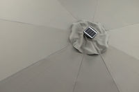 Sabal Parasol 