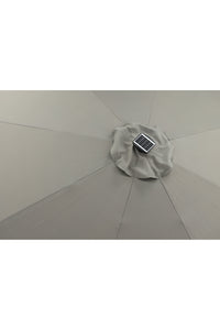 Sabal Parasol 