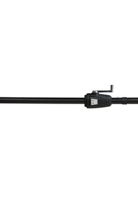 Sabal Parasol 