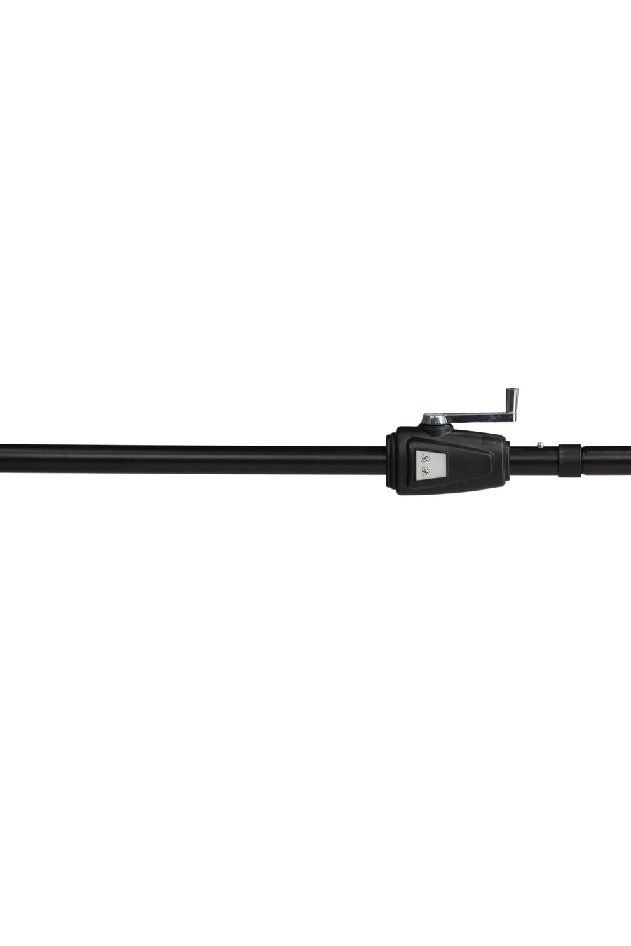 Sabal Parasol 