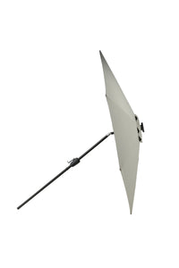 Sabal Parasol 