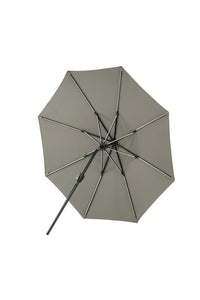 Sabal Parasol 