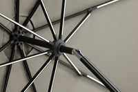 Sabal Parasol 