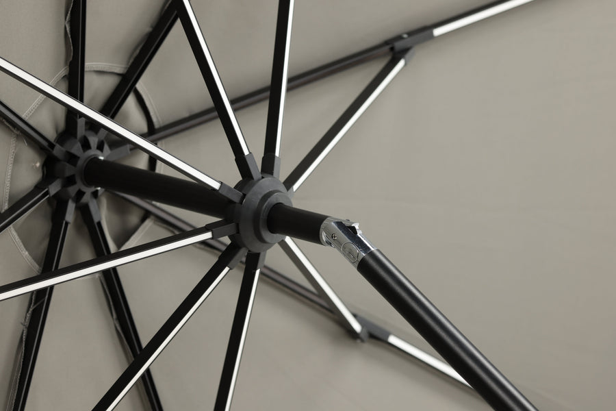 Sabal Parasol 
