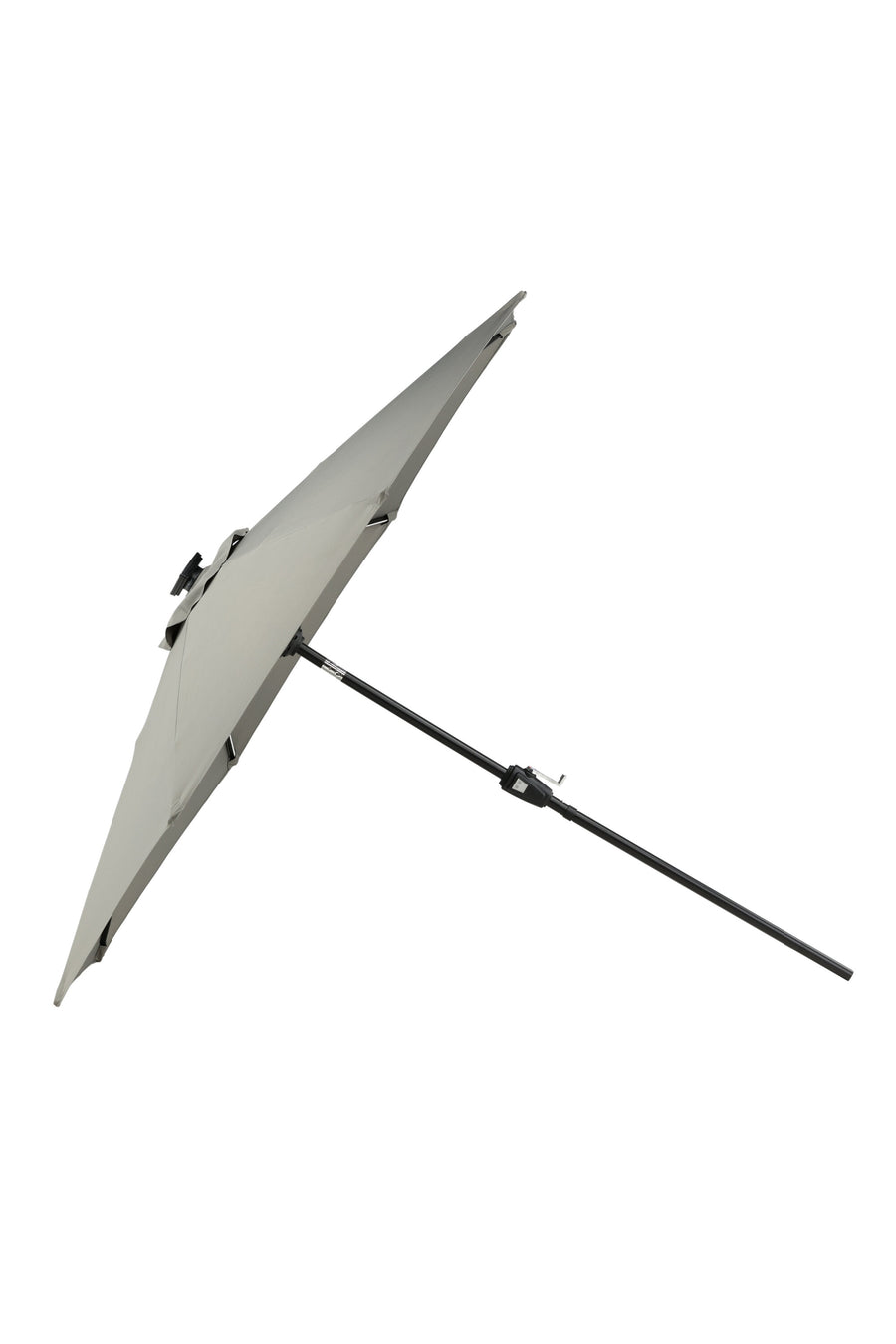 Sabal Parasol 