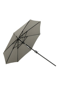 Sabal Parasol 