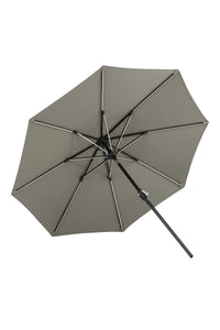 Sabal Parasol 