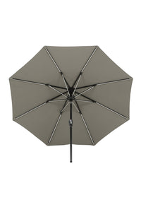 Sabal Parasol 