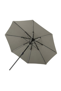 Sabal Parasol 