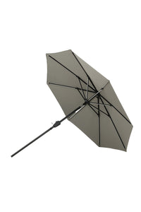 Sabal Parasol 