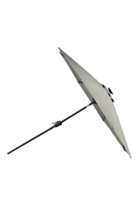 Sabal Parasol 