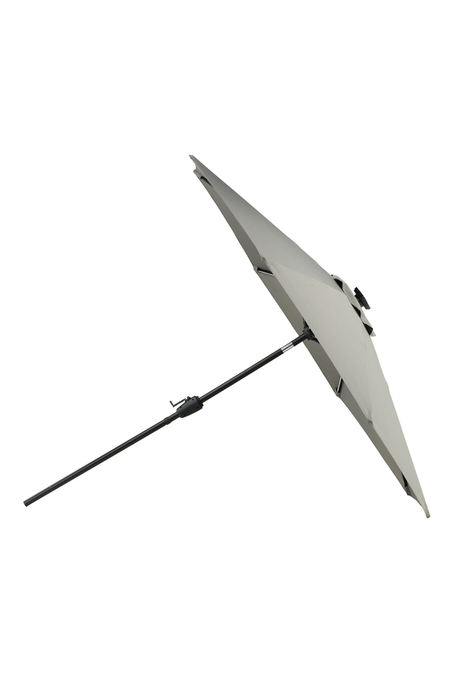 Sabal Parasol 