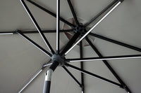 Sabal Parasol 