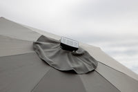 Sabal Parasol 