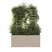 Spaljé til udekrukke ROS