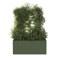 Spaljé til udekrukke ROS