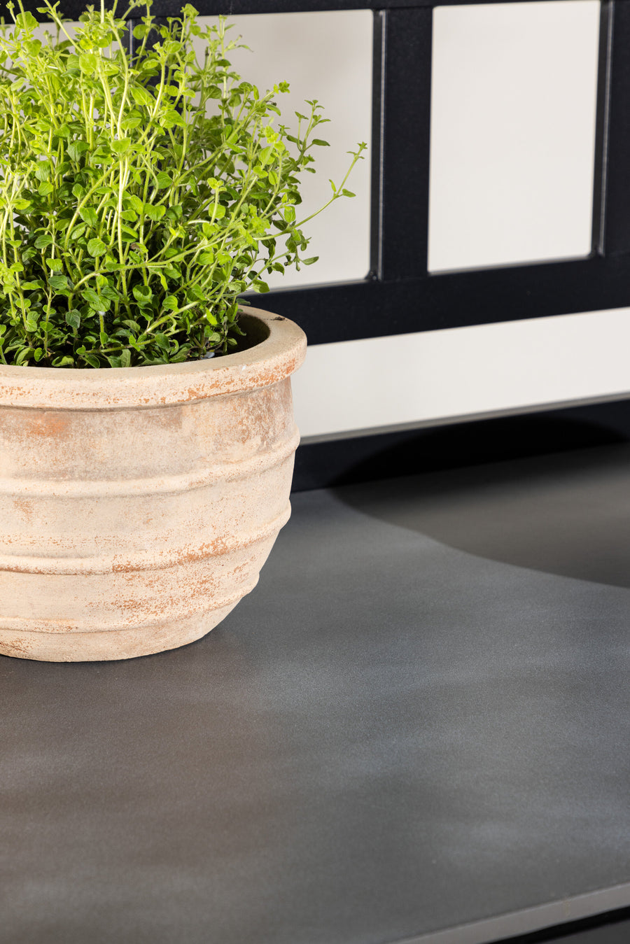 Alicante Udendørskøkken 