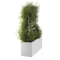 Spaljé till utekruka ROS