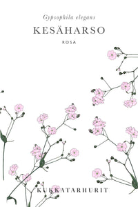 Summer Harso Rosa frø