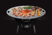 Plaque de cuisson pour barbecue au charbon 