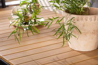 Holmbeck spisebord 200*95 - sort / akacie + Copacabana spise stol - sort