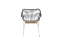 Amora Lounge Chair