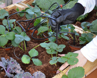 CANOPIA dryppvanningssett for drivhus