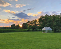 BALANCE växthus i Polykarbonat