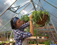 BALANCE växthus i Polykarbonat