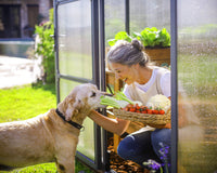 GLORY drivhus i Polykarbonat