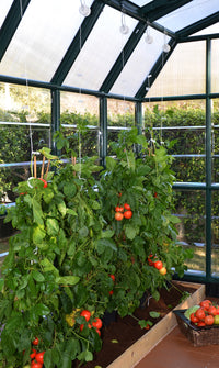 CANOPIA pro-kit for espaliers