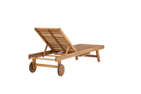 Luzon solsäng - Akacia