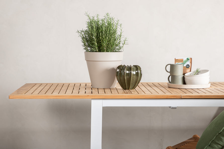 Table Panama 