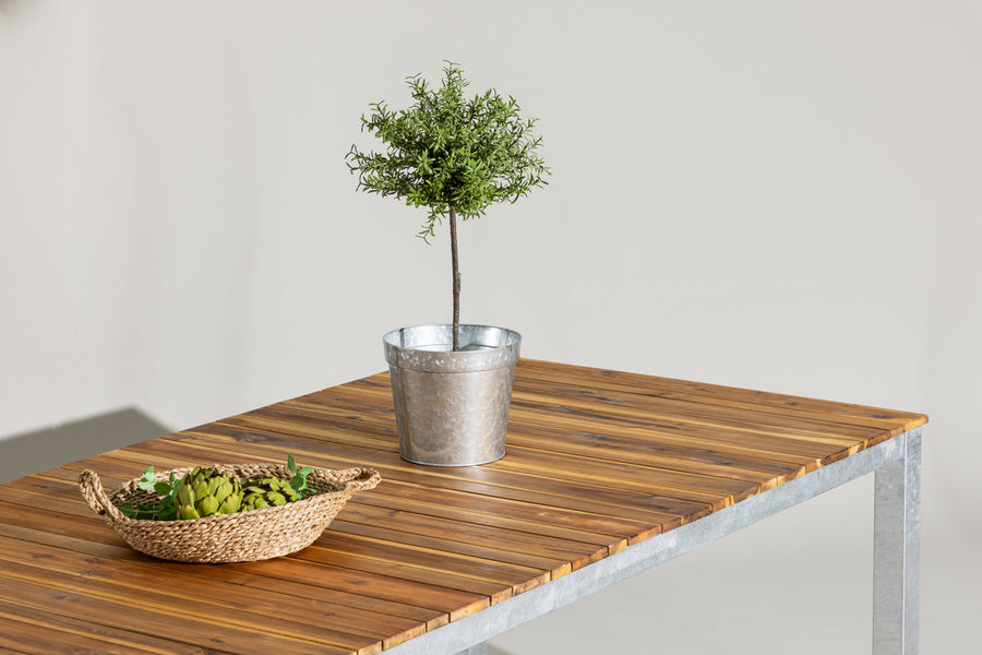 Zenia Bord