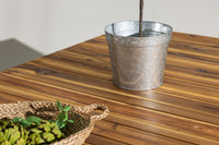 Zenia Bord