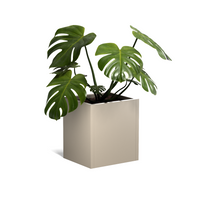 ROS utekrukker 4-pakning