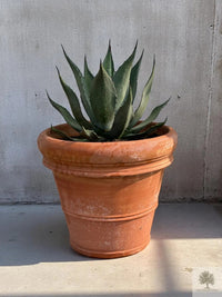 Pot en terre cuite - Toscane - 40 cm de diamètre - 35 cm de hauteur 