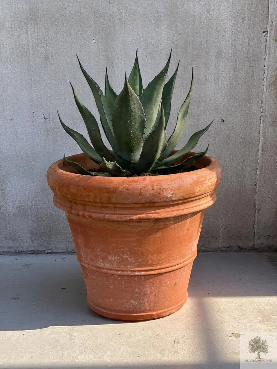 Pot en terre cuite - Toscane - 40 cm de diamètre - 35 cm de hauteur 