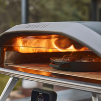 Ooni Karu 2 Pro multifuel pizzaugn