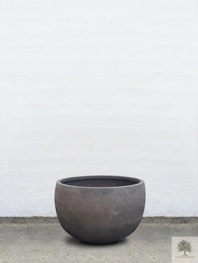 Potte Terrakotta grå - Lav rund - 64-120 cm 