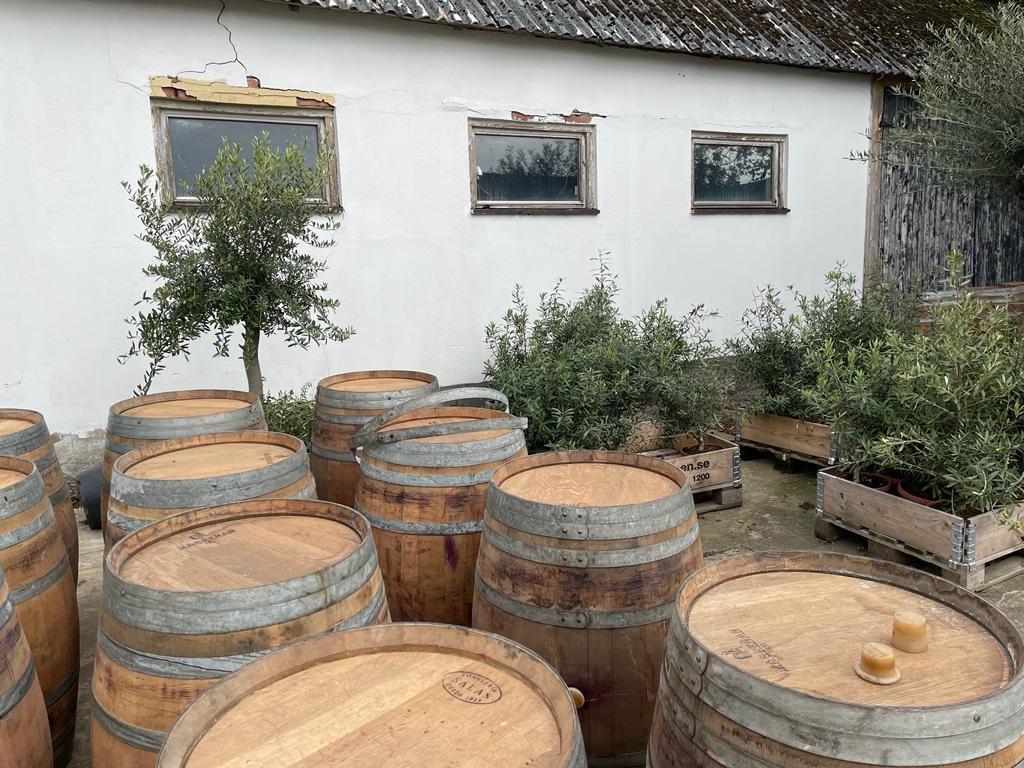 De Rustieke Schoonheid van een Plantenbak van Wijnvat () De Rustieke Schoonheid van een Plantenbak van Wijnvat