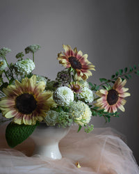 Solrosfrø Pro Cut Plum frøer